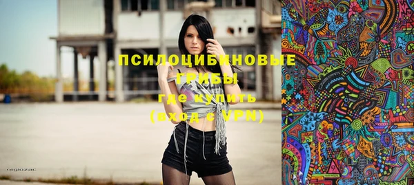 спиды Медвежьегорск