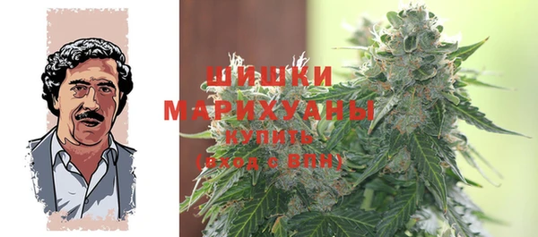 амф Майский